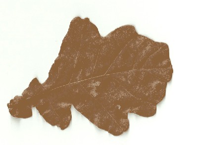 lisc debu0001.jpg